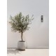 ΑΠΛΙΚΑ ΤΟΙΧΟΥ  Anthracite  Clear Glass IP54