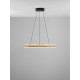 ΚΡΕΜΑΣΤΟ ΦΩΤΙΣΤΙΚΟ Brushed Gold & Black Aluminium & Acrylic
