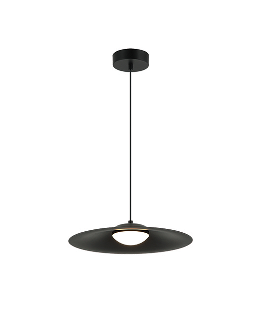 MATTE BLACK LED PENDANT LIGHT