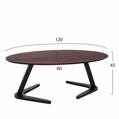 ΤΡΑΠΕΖΙ ΣΑΛΟΝΙΟΥ RAELLYNN FB8289 ΚΑΡΥΔΙ 120X60X45