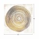 ΠΙΝΑΚΑΣ ΚΑΜΒΑΣ DOME OF CHAPEL OF MONTESIEPI FB97199.03 45x3x45 εκ.