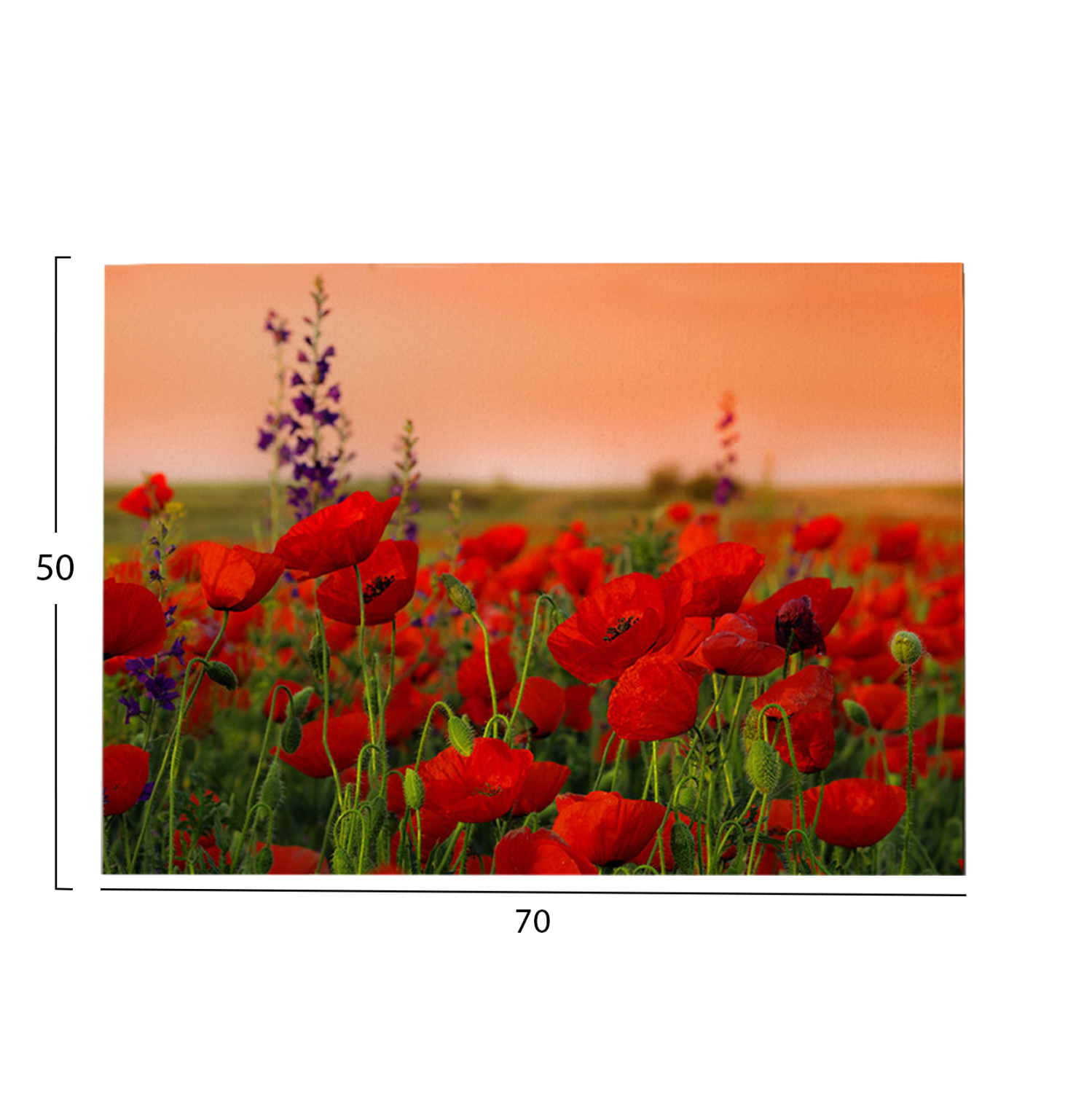 ΠΙΝΑΚΑΣ TOIXOY FB94760 ΕΚΤΥΠΩΜΕΝΟΣ ΚΑΜΒΑΣ 70x3(πάχος)x50Υεκ.