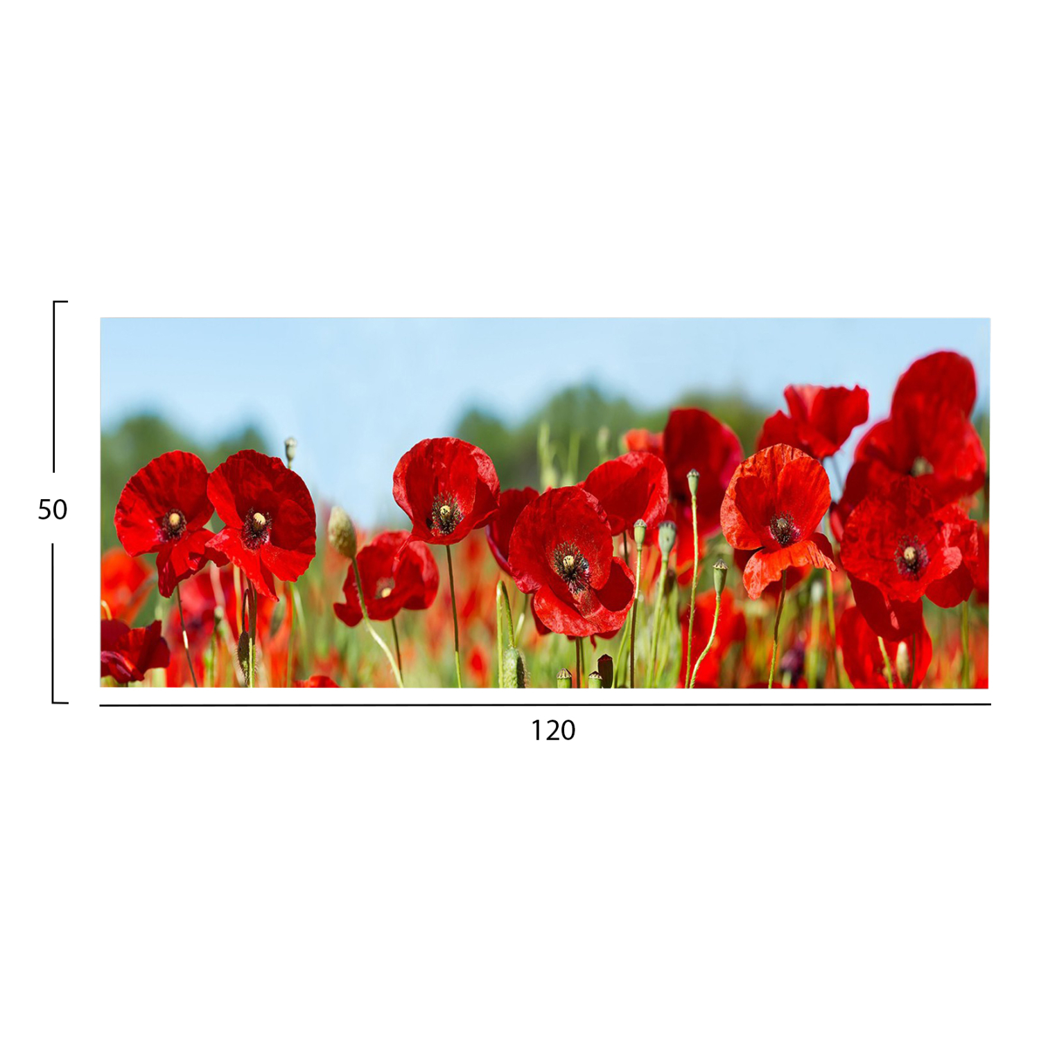 ΠΙΝΑΚΑΣ TOIXOY FB94786 ΕΚΤΥΠΩΜΕΝΟΣ ΚΑΜΒΑΣ 120x3(πάχος)x50Υεκ.