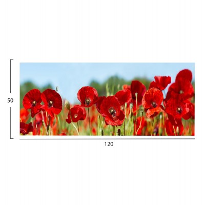 ΠΙΝΑΚΑΣ TOIXOY FB94786 ΕΚΤΥΠΩΜΕΝΟΣ ΚΑΜΒΑΣ 120x3(πάχος)x50Υεκ.