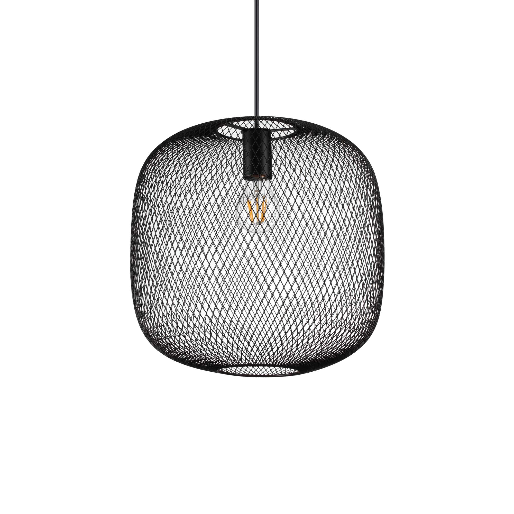 NET_SP1_D34_NERO
