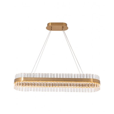 OVAL MATTE GOLD STAINLESS STEEL AND GLASS SUSPENDED FIXTURE