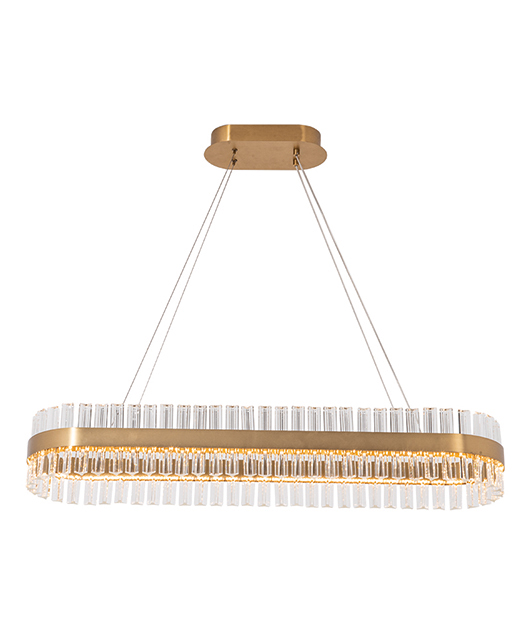 OVAL MATTE GOLD STAINLESS STEEL AND GLASS SUSPENDED FIXTURE